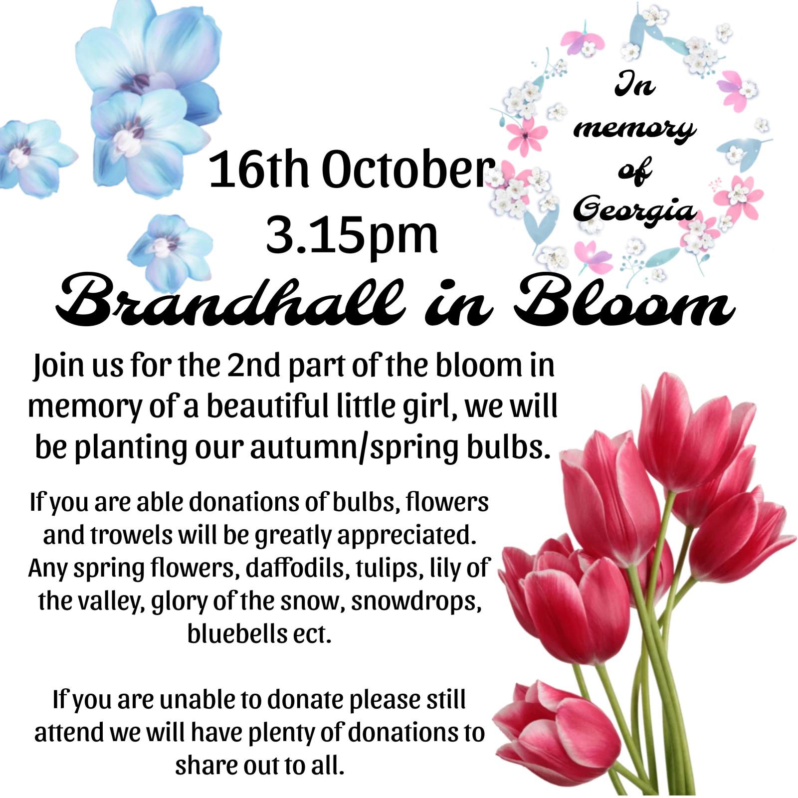 Brandhall in Bloom